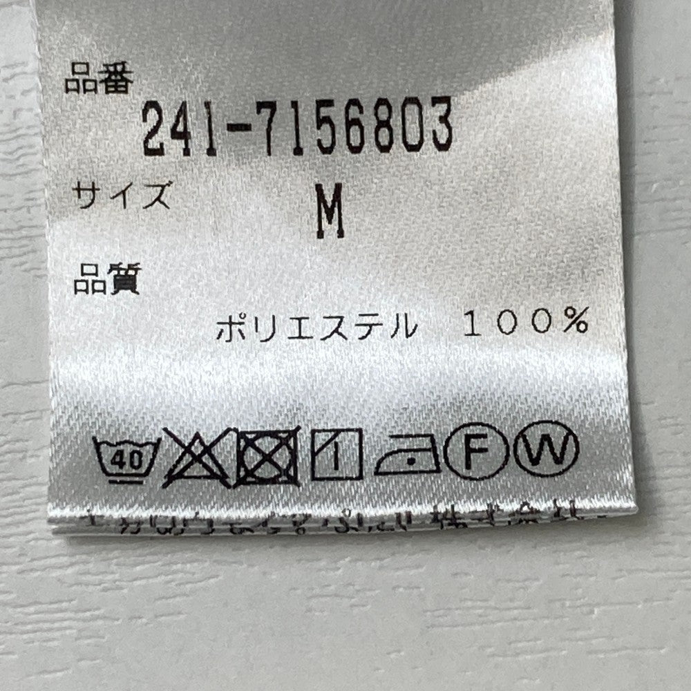 PEARLY GATES パーリーゲイツ  長袖ポロシャツ ボタンダウン ストライプ柄 ネイビー系 0